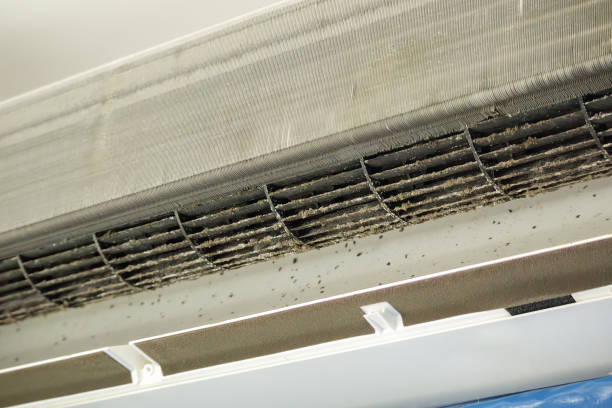 Best Emergency Air Duct Cleaning  in Owings Mills, MD